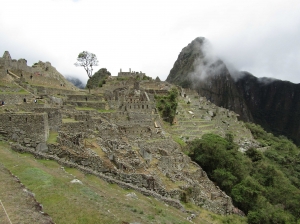 Happy Gringo Tours: The Ultimate Inca Trail Experience for Every Adventurer